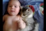 კატა ჩვილს ეფერება
