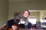 გოგონა მღერის გიტარაზე კატასთან ერთად