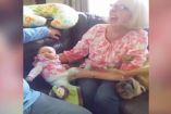 რას აკეთებს ეჭვიანი ძაღლი, როდესაც ბებია ბავშვის ხელში აყვანას ცდილობს 