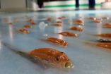 საშინელი ატრაქციონი - იაპონიაში საციგურაო მოედანზე მოედანზე ათასობით თევზი გაყინეს