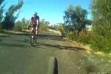 კენგურუ ავსტრალიელ ველოსიპედისტს გადაახტა