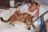 პატრონმა ძაღლს, რომელმაც სიმსივნის დამარცხებაში დაეხმარა, გამოსამშვიდობებელი ფილმი მიუძღვნა 