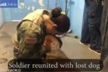სამხედროს და მისი  დაკაგული ძაღლის ემოციური შეხვედრა