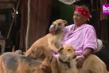 ქმართან გაშორების შემდეგ ქალი 400 გადარჩენილ ძაღლთან ერთად ბედნიერად ცხოვრობს 