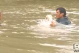 კაცმა წყალდიდობის დროს ქალი და მისი ძაღლი გადაარჩინა