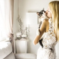 საქორწინო ფოტოები, რომელთა მთავარი გმირებიც კატები არიან