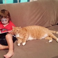 ლარი და აბელი - კატამ ახალ ოჯახში ნამდვილი მეგობარი შეიძინა