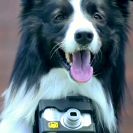რა გადაიღო მსოფლიოში პირველმა ფოტოგრაფმა ძაღლმა?
