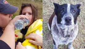 17 წლის სმენადაქვეითებული ძაღლი ტყეში დაკარგულ ბავშვს მთელი ღამე იცავდა (+ვიდეო)