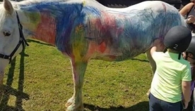 ცოცხალი ტილო: ბრიტანელი ცხოველთა დამცველები ითხოვენ აიკრძალოს პონის სხეულზე ხატვა