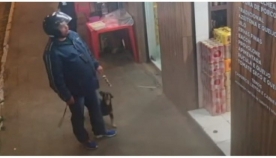 უპატრონო ძაღლი უეცრად გამოჩნდა და მამაკაცს მწვადი წაართვა (სახალისო ვიდეო)