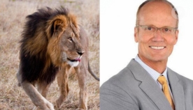 ვალტერ ჯეიმს პალმერი, სტომატოლოგი მინესოტას შტატიდან ბოდიშს იხდის ზიმბაბვეს ულამაზესი ლომის მოკვლის გამო