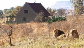 სამხრეთ აფრიკის ნაკრძალში ქირავდება სახლი, სადაც მეზობლად 70 ლომი ბინადრობს