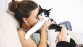 10 მიზეზი, თუ რატომ უნდა აიყვანოთ კატა