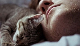 თუ კატას თქვენს საწოლში ძილი უყვარს. აი, რას ნიშნავს ეს...