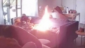 ძაღლმა პატრონის სანთებელა მოიპარა და სახლი გადაწვა (+ვიდეო)