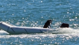 მამაკაცი ოკეანეში გადავარდა, ძაღლი მარტო "სეირნობდა" ნავით  (+ვიდეო)
