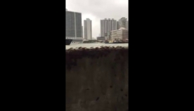 ჩინეთში ვიდეოზე ტაიფუნი ”ხატოსგან” ტარაკანების მასობრივი გაქცევა გადაიღეს (+ვიდეო)