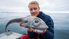 ნორვეგიაში დაიჭირეს თევზი ანომალიურად დიდი თვალებით