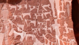 არაბეთის უდაბნოში ძაღლების უძველესი გამოსახულებები იპოვეს