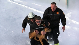ლაგოდეხის რაიონში, კაბალის ხეობაში თოვლში ჩარჩენილი სასიკვდილოდ განწირული ძაღლი მაშველებმა იხსნეს