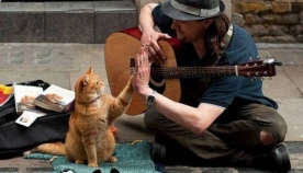 უსახლკარო მუსიკოსი უსახლკარო კატას შეხვდა და ამ შეხვედრამ მათი ცხოვრება შეცვალა