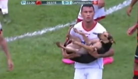 უპატრონო ძაღლმა ფეხბურთის მსვლელობის დროს მოედანზე გასეირნება გადაწყვიტა (+ვიდეო)