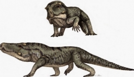 აღმოაჩინეს რეპტილია, რომელიც დინოზავრის წინაპარია