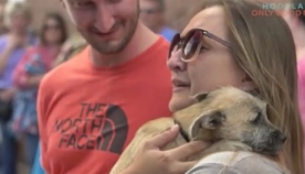 ოჯახებმა აიყვანეს ძაღლები, რომლებიც პირველად ნახეს ცხოვრებაში. ისინი დაიბნენ, როდესაც კარი გააღეს! (+ვიდეო)