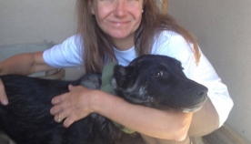 "საქართველოს ძაღლების ორგანიზაცია“ - ლისის ტბის თავშესაფარი, სადაც ძაღლები კარგ პირობებში ცხოვრობენ და კეთილ პატრონებს პოულობენ