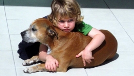 მისი ძაღლი უნდა მომკვდარიყო, მაგრამ ბავშვის რეაქციამ ასეთ მოვლენაზე ყველა გააოგნა