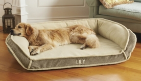სპეციალისტებმა გაარკვიეს, თუ როგორ მოქმედებს  ძაღლის საძინებელში ყოფნა პატრონის ძილის ხარისხზე
