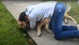 ბავშვს თავისი დაკარგული ძაღლის პოვნის იმედი აღარ ჰქონდა, 8 თვის შემდეგ მეზობელმა მას სიურპრიზი გაუკეთა (+ვიდეო)