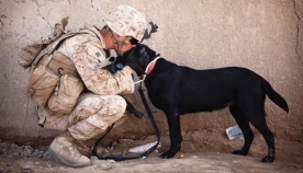 ძაღლები ომში - ყველაზე ნამდვილი და ძლიერი მეგობრობა! (+ფოტო)