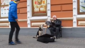 ქუჩის მუსიკოსი, რომელიც არ ელოდა მსგავს სურპრიზს (+ვიდეო)