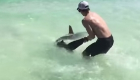 მამაკაცმა ზვიგენი შიშველი ხელებით წყლიდან ამოიყვანა. ამ სანახაობისთვის მთელი სანაპირო შეიკრიბა  (+ვიდეო)