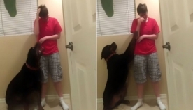 ძაღლი ცდილობს ხელი შეუშალოს აუტიზმით დაავადებულ ქალს, რათა საკუთარ თავს ზიანი არ მიაყენოს (+ვიდეო)