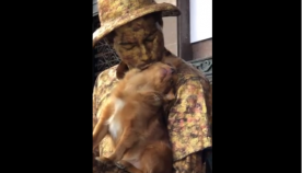 მოხერხებული ძაღლი ქუჩის მსახიობის შეუცვლელი დამხმარე გახდა (სახალისო ვიდეო)