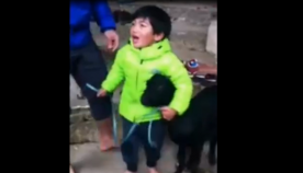 ბავშვი იცავს ციკანს, რომელიც ძველი ტრადიციების მიხედვით მსხვერპლად უნდა შეწირონ (+ვიდეო)