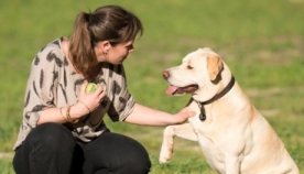 ძაღლი ექიმებს ფილტვის კიბოს დიაგნოსტირებისას ეხმარება