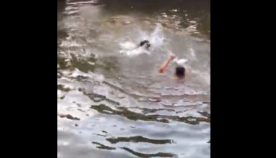 პატრონს აინტერესებდა, გადაარჩენდა თუ არა თავისი ძაღლი მას წყალში დახრჩობისას (ემოციური ვიდეო)