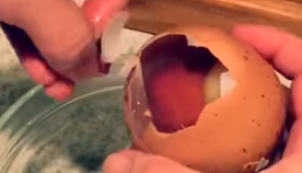 ფერმერმა დიდი ზომის კვერცხი იპოვა და ვერ წარმოიდგენთ,  როცა ის გატეხა,რა აღმოჩნდა მასში (+ვიდეო)