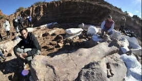 არგენტინაში 25 მეტრი სიგრძის დინოზავრი აღმოაჩინეს