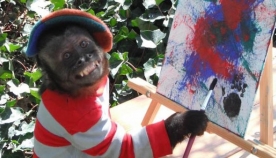 ჰოლივუდში 20 წლის მსახიობი მაიმუნი დააჯილდოვეს (+ფოტო)