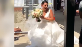 პატრონის ქორწილში მისულმა ძაღლმა სტუმრები და პატარძალი სასიამოვნოდ გააკვირვა (სახალისო ვიდეო)