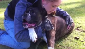მწვრთნელმა ძაღლის გაჩერებული გული აამუშავა (+ვიდეო)