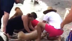 ქალმა ძაღლი დახრჩობას გადაარჩინა. მან დაზარალებულს ხელოვნური სუნთქვა ჩაუტარა! (+ვიდეო)