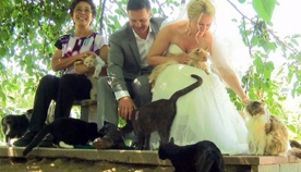 წყვილმა ქორწილში ათასი კატა დაპატიჟა (+ფოტო)