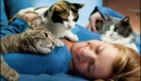 კატების ფარული სამკურნალო თვისებები დამტკიცებულია - განსაკუთრებით ქალებისთვის!