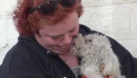 არავინ ელოდა, რომ უსახლკარო ძაღლი ასე გადაუხდიდა მადლობას თავის გადამრჩენელს (+ვიდეო)